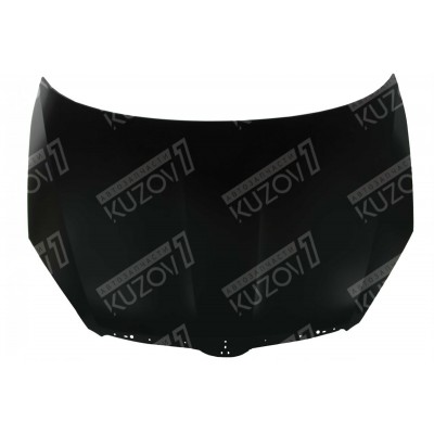 Капот TYG для SKODA FABIA 2007-2010 - фото